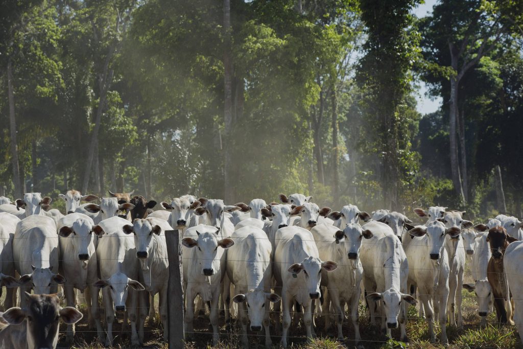 Agro pede socorro a Haddad por crise causada pela guerra - 19/03/2026 - Economia