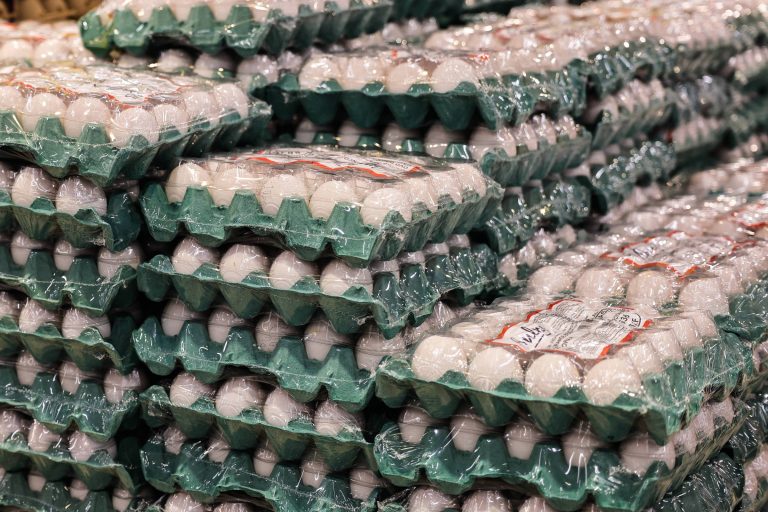 Guerra no Irã: ovos, frango e porco podem ficar mais caros - 25/03/2026 - Economia