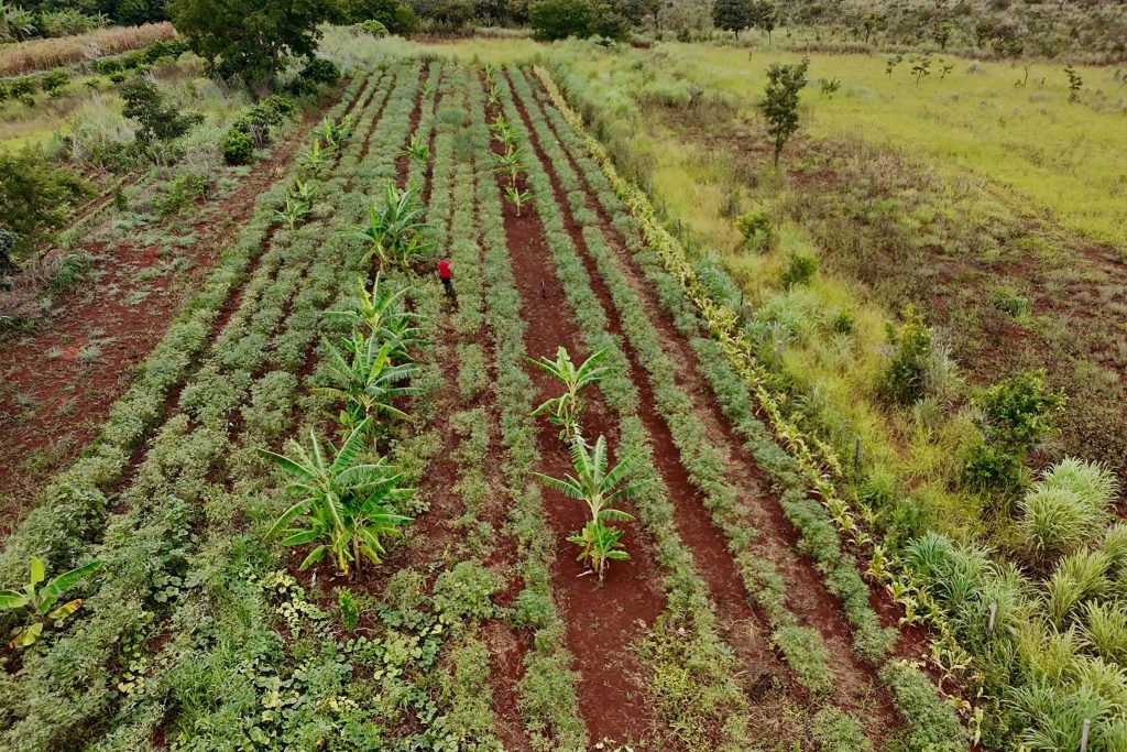 Agro propõe mudanças no Plano Safra e recuperação judicial - 12/05/2026 - Economia