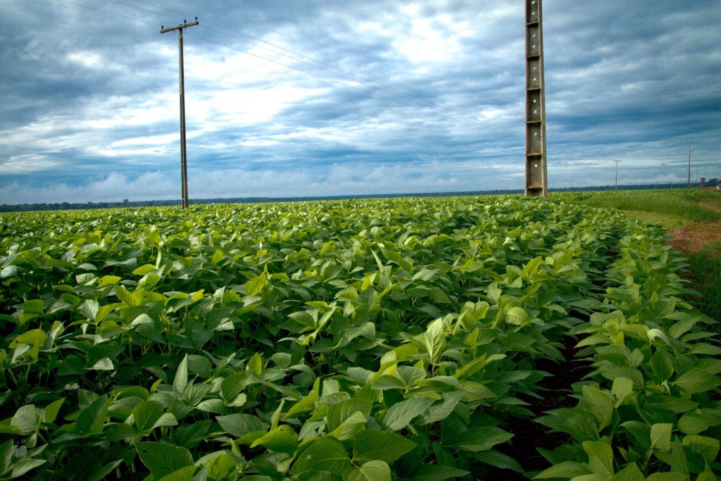 Agronegócio tenta crédito para renegociar R$ 180 bi - 19/05/2026 - Economia