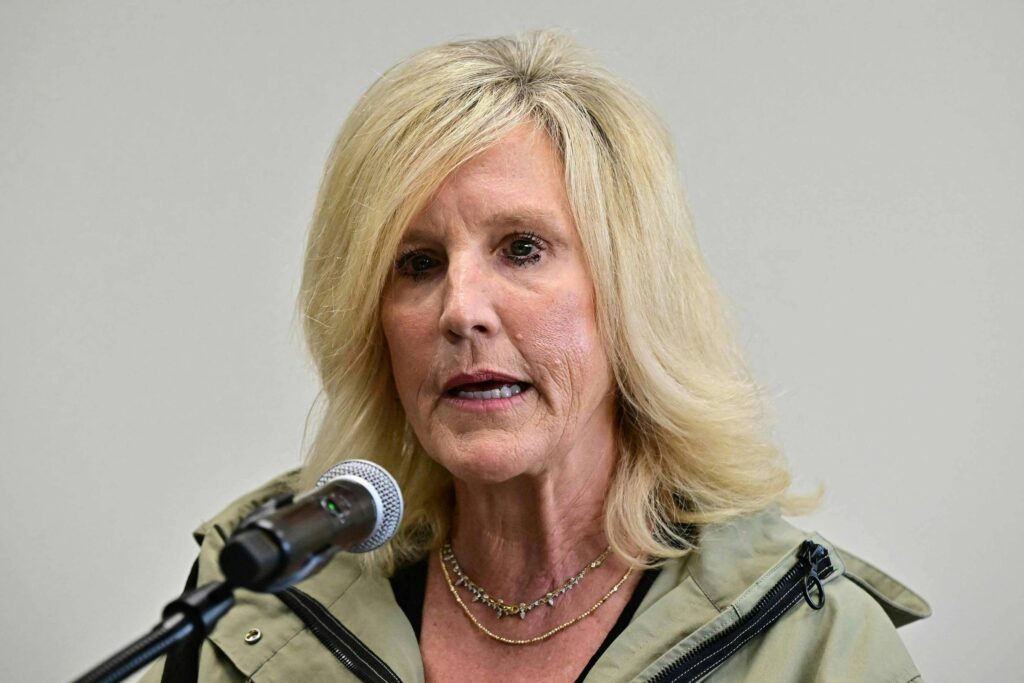 Erin Brockovich lança projeto para rastrear data centers - 30/05/2026 - Economia
