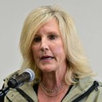 Erin Brockovich lança projeto para rastrear data centers - 30/05/2026 - Economia