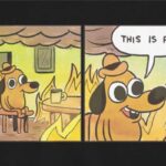 O PIB e o cão do meme do incêndio - 29/05/2026 - Vinicius Torres Freire