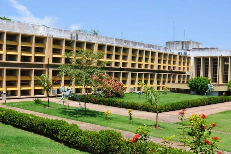 TCU aponta falha em cotas na administração pública federal - 21/05/2026 - Economia